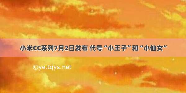 小米CC系列7月2日发布 代号“小王子”和“小仙女”