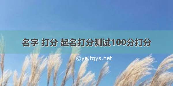 名字 打分 起名打分测试100分打分