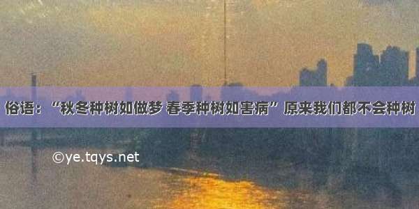 俗语：“秋冬种树如做梦 春季种树如害病” 原来我们都不会种树