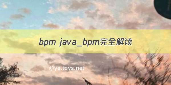 bpm java_bpm完全解读