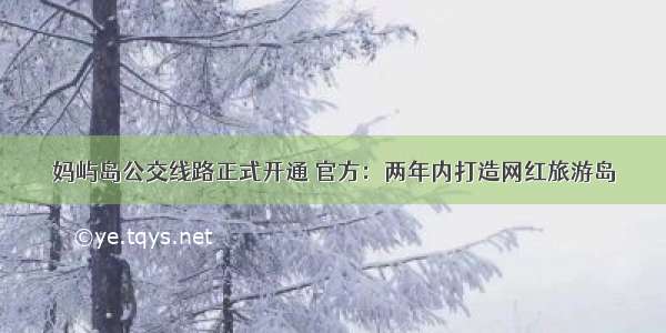 妈屿岛公交线路正式开通 官方：两年内打造网红旅游岛