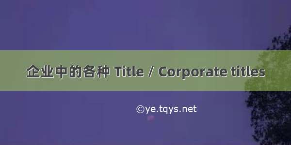 企业中的各种 Title / Corporate titles