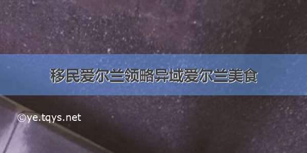 移民爱尔兰领略异域爱尔兰美食