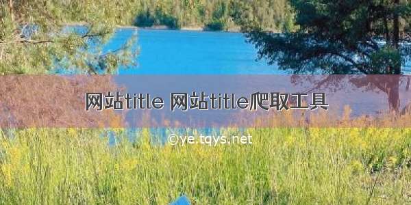 网站title 网站title爬取工具