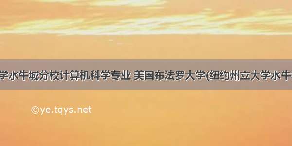 纽约州立大学水牛城分校计算机科学专业 美国布法罗大学(纽约州立大学水牛城分校)介绍