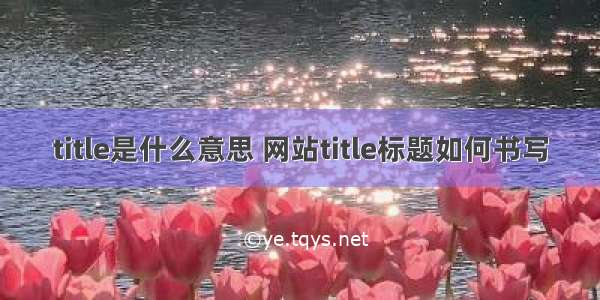 title是什么意思 网站title标题如何书写