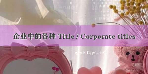 企业中的各种 Title / Corporate titles