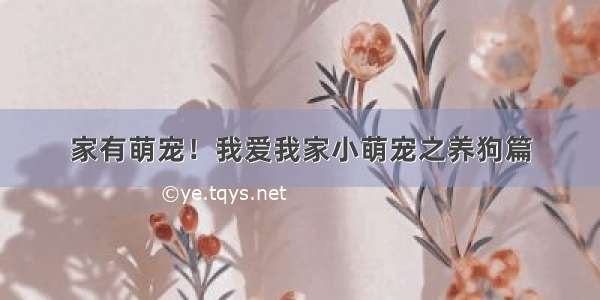 家有萌宠！我爱我家小萌宠之养狗篇