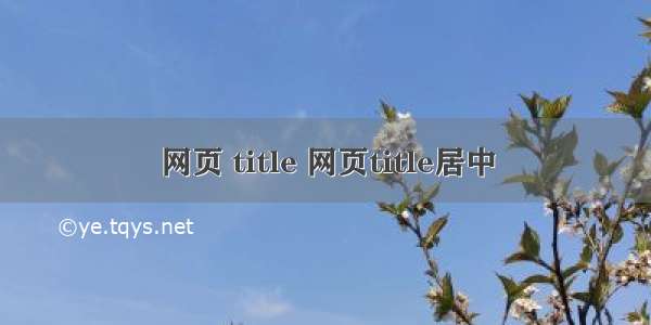 网页 title 网页title居中