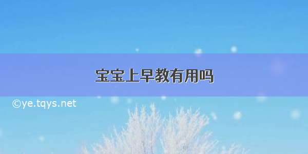 宝宝上早教有用吗