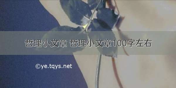 哲理小文章 哲理小文章100字左右