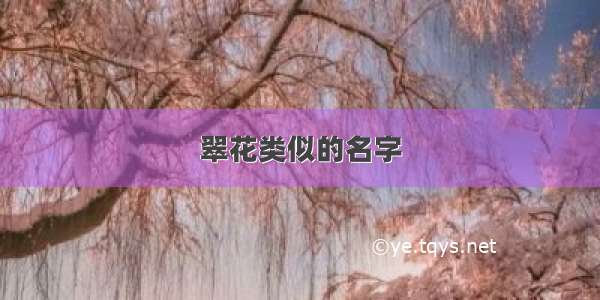 翠花类似的名字