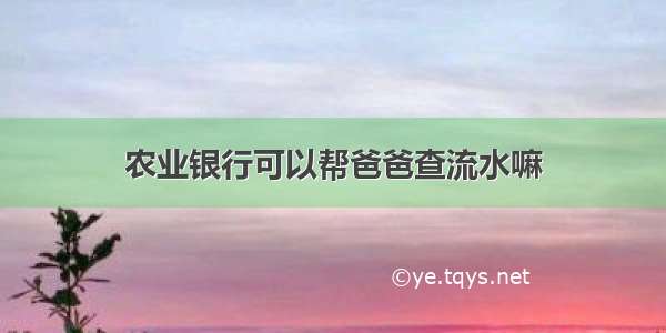 农业银行可以帮爸爸查流水嘛