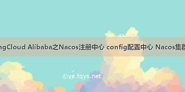 SpringCloud Alibaba之Nacos注册中心 config配置中心 Nacos集群搭建