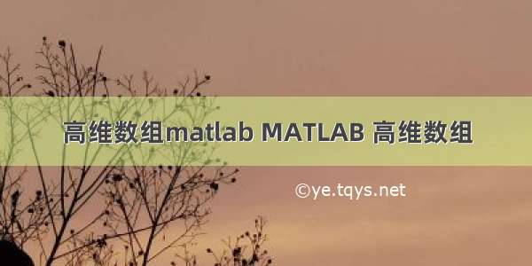高维数组matlab MATLAB 高维数组
