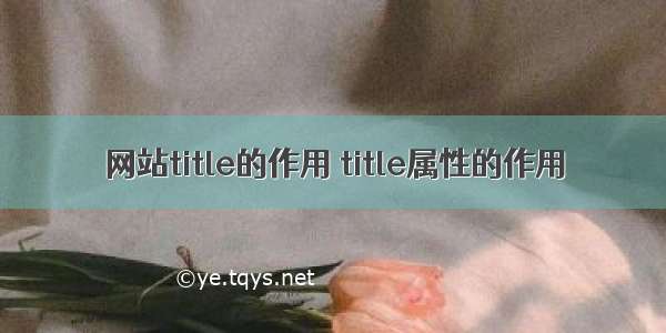 网站title的作用 title属性的作用