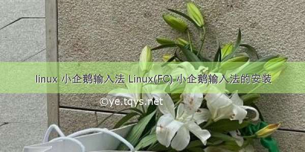 linux 小企鹅输入法 Linux(FC) 小企鹅输入法的安装