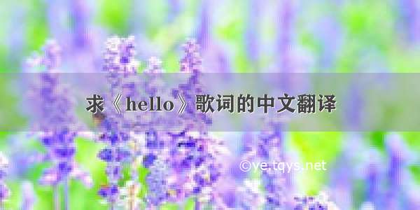 求《hello》歌词的中文翻译