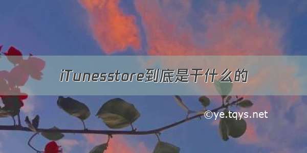 iTunesstore到底是干什么的