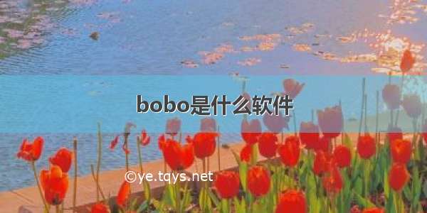 bobo是什么软件