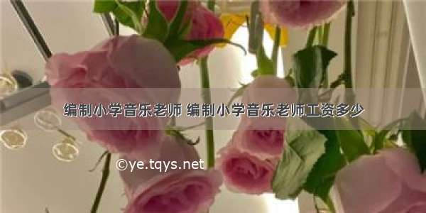 编制小学音乐老师 编制小学音乐老师工资多少