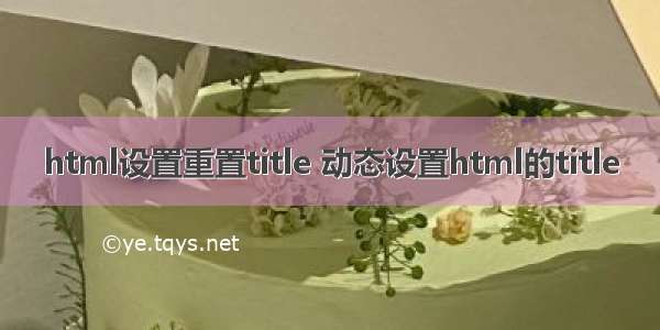 html设置重置title 动态设置html的title