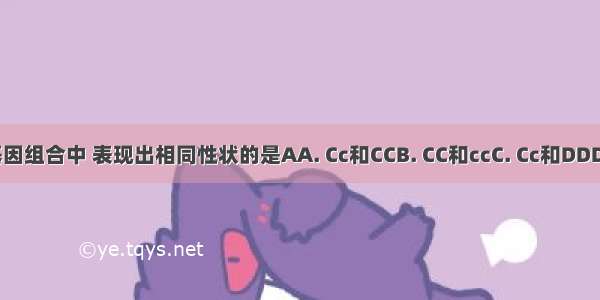 在下列基因组合中 表现出相同性状的是AA. Cc和CCB. CC和ccC. Cc和DDD. Cc和cc