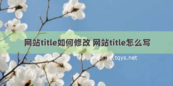 网站title如何修改 网站title怎么写