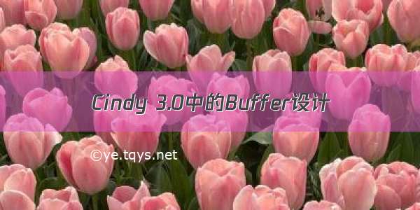 Cindy 3.0中的Buffer设计