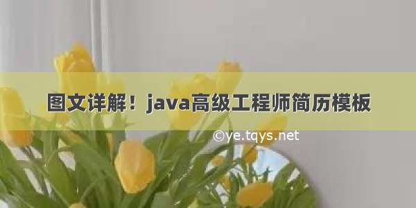 图文详解！java高级工程师简历模板