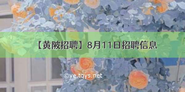 【黄陂招聘】8月11日招聘信息