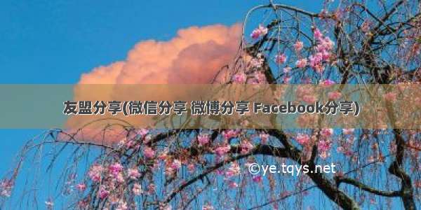 友盟分享(微信分享 微博分享 Facebook分享)