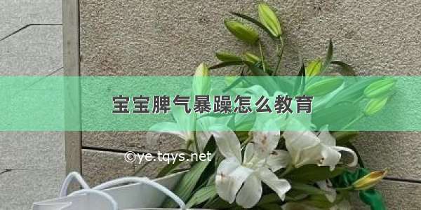 宝宝脾气暴躁怎么教育