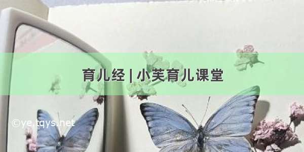 育儿经 | 小芙育儿课堂