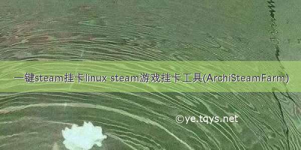 一键steam挂卡linux steam游戏挂卡工具(ArchiSteamFarm)