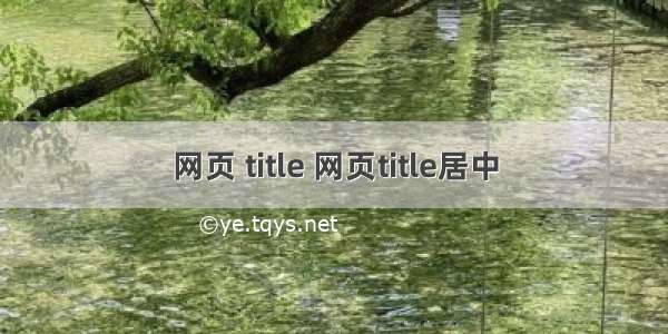 网页 title 网页title居中