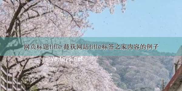 网页标题title 截获网站title标签之家内容的例子