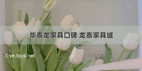 华泰龙家具口碑 龙泰家具城