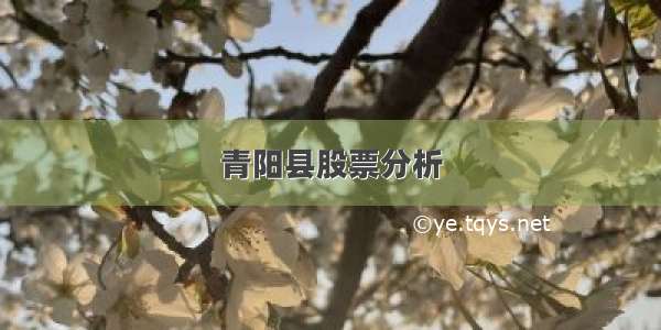 青阳县股票分析