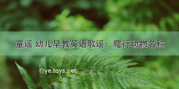 童谣 幼儿早教英语歌谣：爬行动物名称