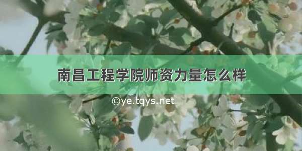 南昌工程学院师资力量怎么样