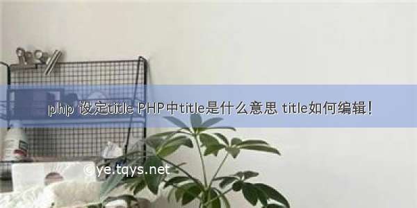 php 设定title PHP中title是什么意思 title如何编辑！