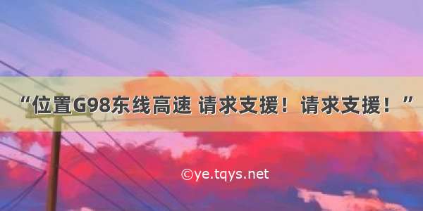 “位置G98东线高速 请求支援！请求支援！”