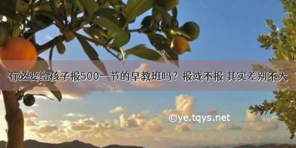 有必要给孩子报500一节的早教班吗？报或不报 其实差别不大