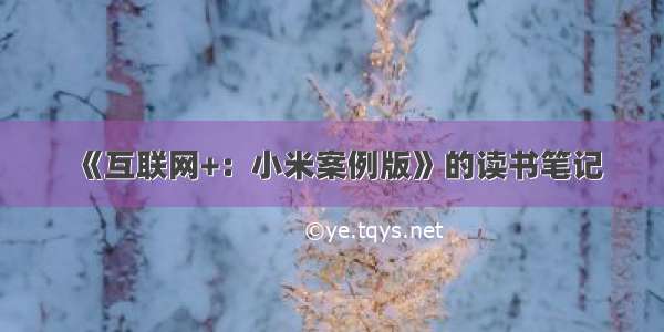 《互联网+：小米案例版》的读书笔记