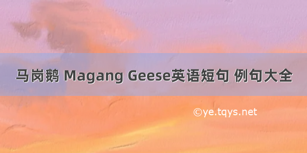 马岗鹅 Magang Geese英语短句 例句大全