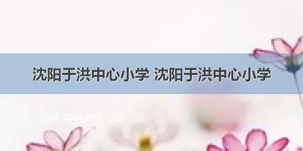 沈阳于洪中心小学 沈阳于洪中心小学