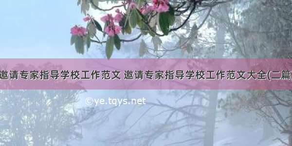 邀请专家指导学校工作范文 邀请专家指导学校工作范文大全(二篇)