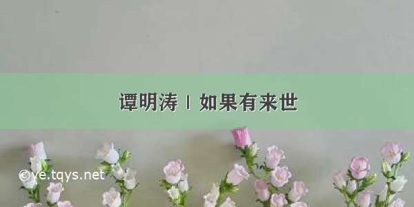 谭明涛｜如果有来世