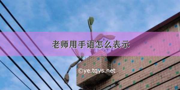 老师用手语怎么表示